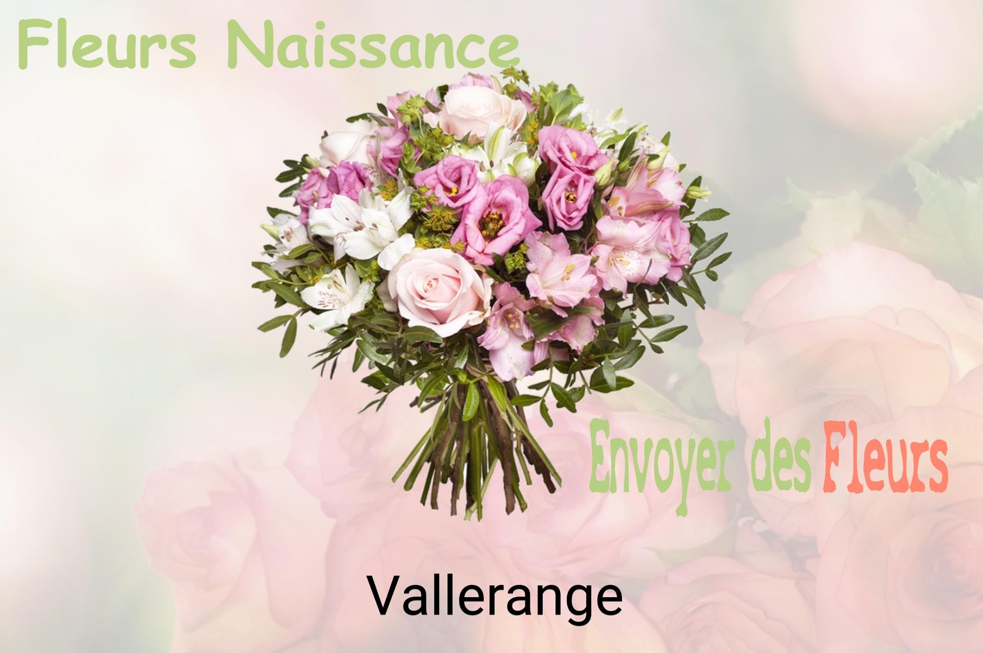 Bouquet de fleurs de naissance livré à Vallerange